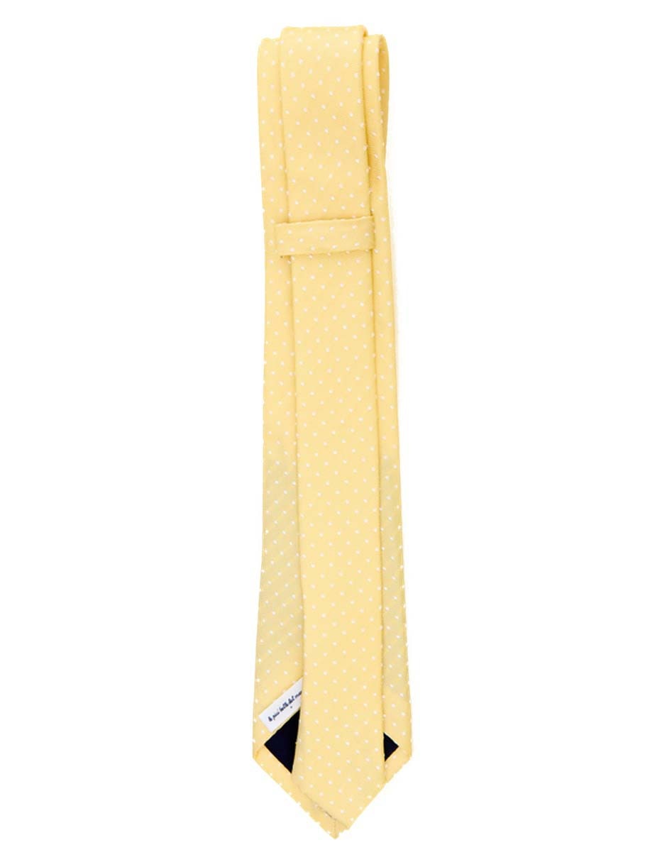 Corbata regular de seda estampado lunares para hombre 3