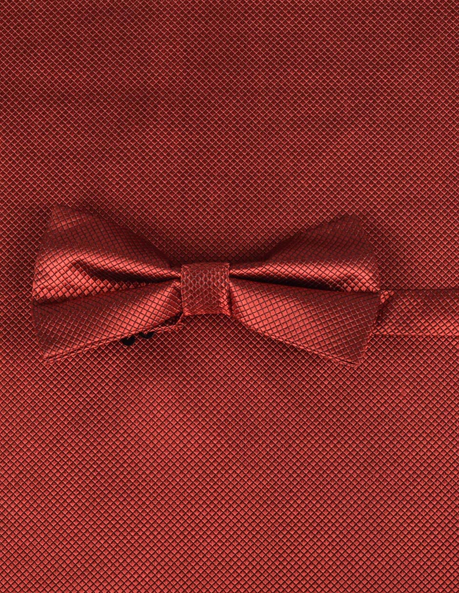 Set de moño y pañuelo Jbe de seda